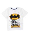 Batman Ropa de 2 piezas