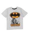 Batman Ropa de 2 piezas