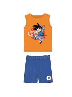 Ensemble DragonBall Z