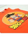 Ensemble DragonBall Z