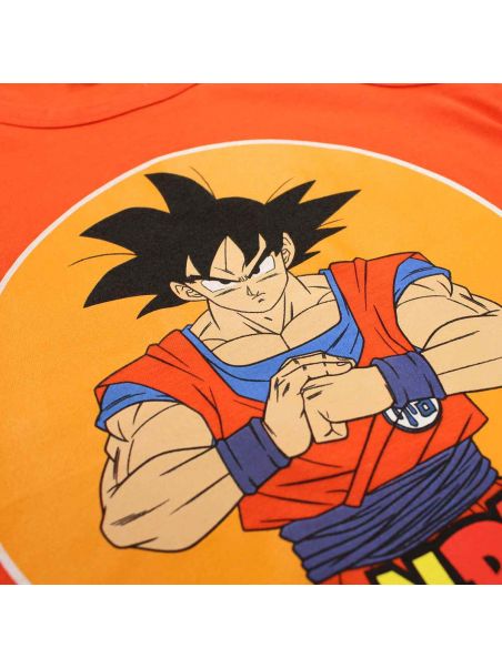 DragonBall Z Kleding van 2 stuks