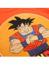 DragonBall Z Kleding van 2 stuks