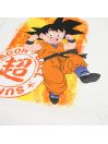 DragonBall Z Clothing of 2 pieces