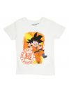 DragonBall Z Clothing of 2 pieces