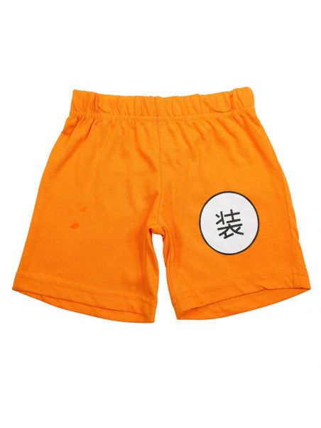 DragonBall Z Clothing of 2 pieces