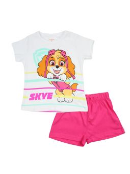 Ensemble Paw Patrol