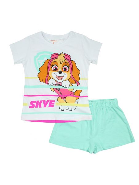 Paw Patrol hangerset