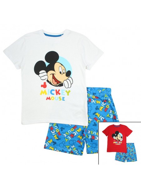 Ensemble sur cintre Mickey