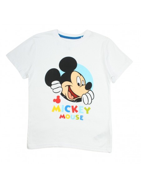 Ensemble sur cintre Mickey