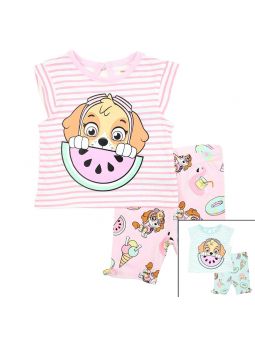 Paw Patrol baby set.