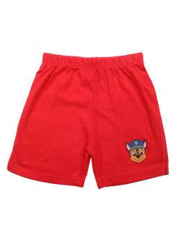 Ensemble Paw Patrol