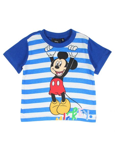 Ensemble mickey.