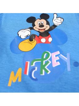 Ensemblemickey.