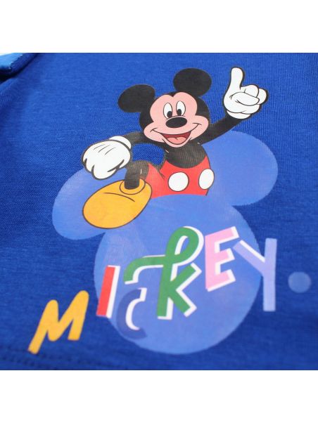 Conjunto de Mickey.