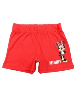 Conjunto de Minnie.