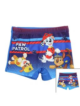 Paw Patrol swim trunks.