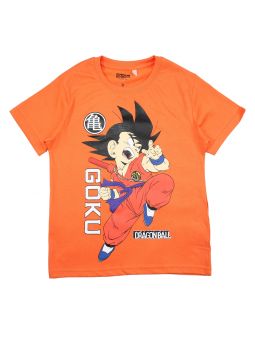 Dragonball-Set