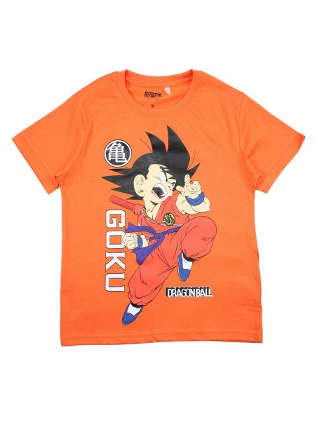 Dragon ball set