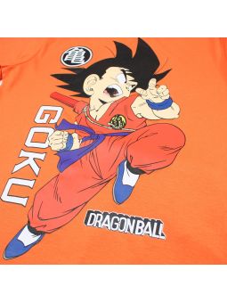 Dragon ball set