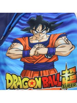 Dragon ball swim shorts.