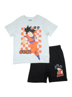 Dragonball-Set