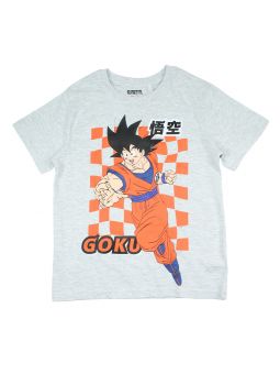 Dragon ball set