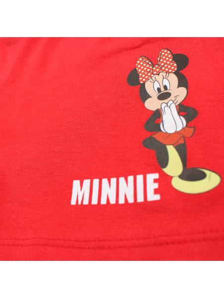 Ensemble Minnie