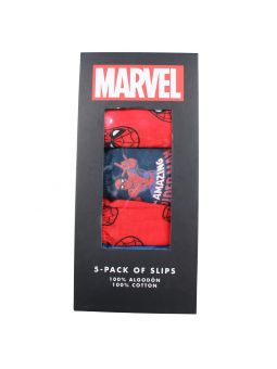 Set van 5 Spiderman-slipjes