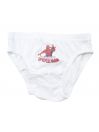 Pack de 5 culottes Spiderman