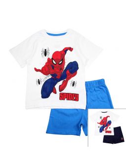 conjunto de hombre araña