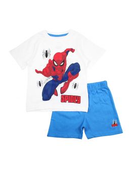 conjunto de hombre araña