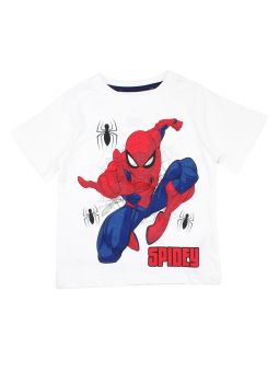 conjunto de hombre araña