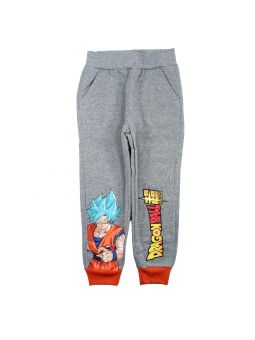 Dragon Ball Z Jogging Pants