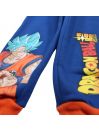 Dragon Ball Z Jogging Pants