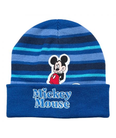 Mickey Boy Hat