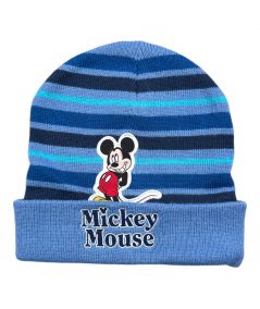 Mickey Boy Hat