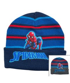 Spiderman Boy Hat