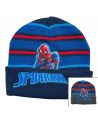 Spiderman Boy Hat