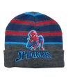 Spiderman Boy Hat