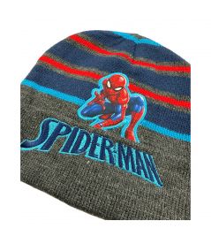 Spiderman Boy Hat