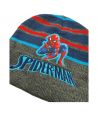 Spiderman Boy Hat