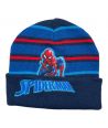 Spiderman Boy Hat