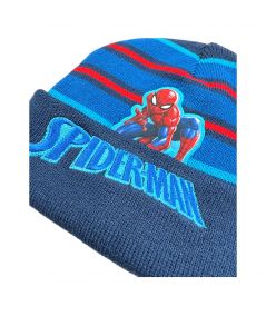 Spiderman Boy Hat