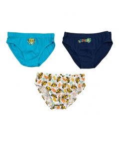 Pack of 3 Lion King Briefs