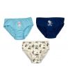 Pack of 3 Frozen briefs