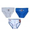 Pack of 3 Frozen briefs