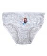 Pack of 3 Frozen briefs