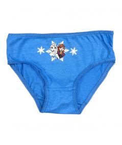 Pack of 3 Frozen briefs