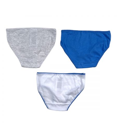 Pack of 3 Frozen briefs