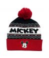 Bonnet Mickey